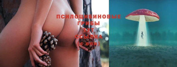 ALPHA PVP Дмитровск
