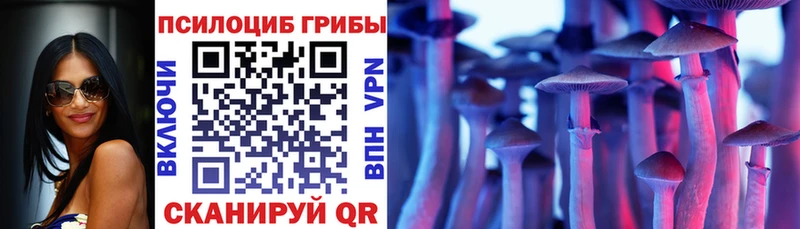 Галлюциногенные грибы Psilocybe  OMG tor  Курск 